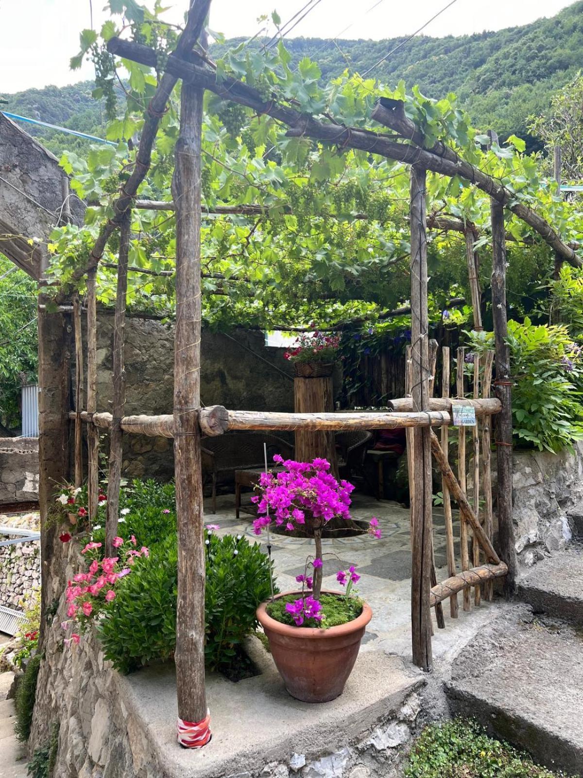 Room-antica * Castellammare di Stabia