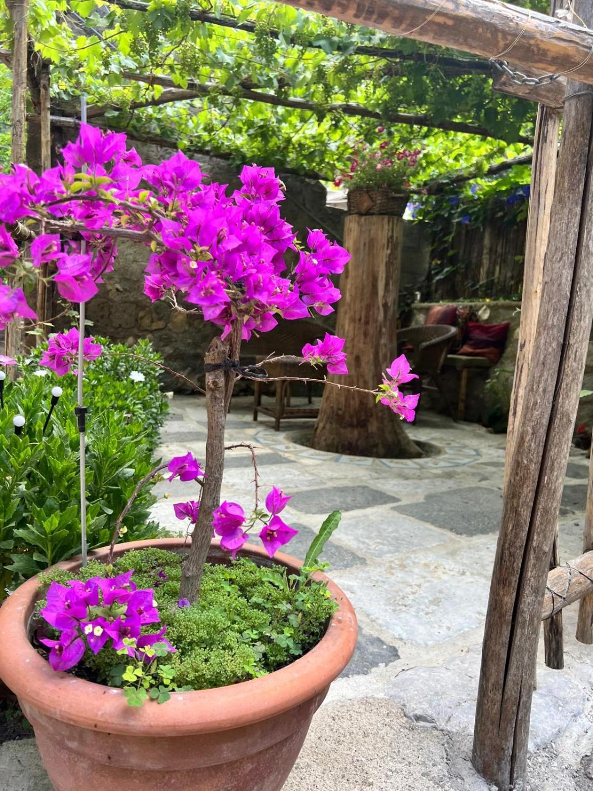 Room-antica Appartamento Castellammare di Stabia